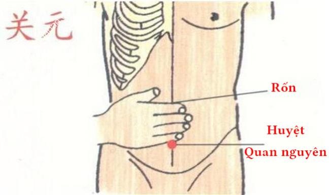 Hình ảnh huyệt quan nguyên