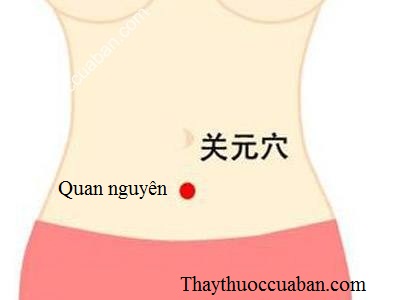 Hình ảnh huyệt quan nguyên