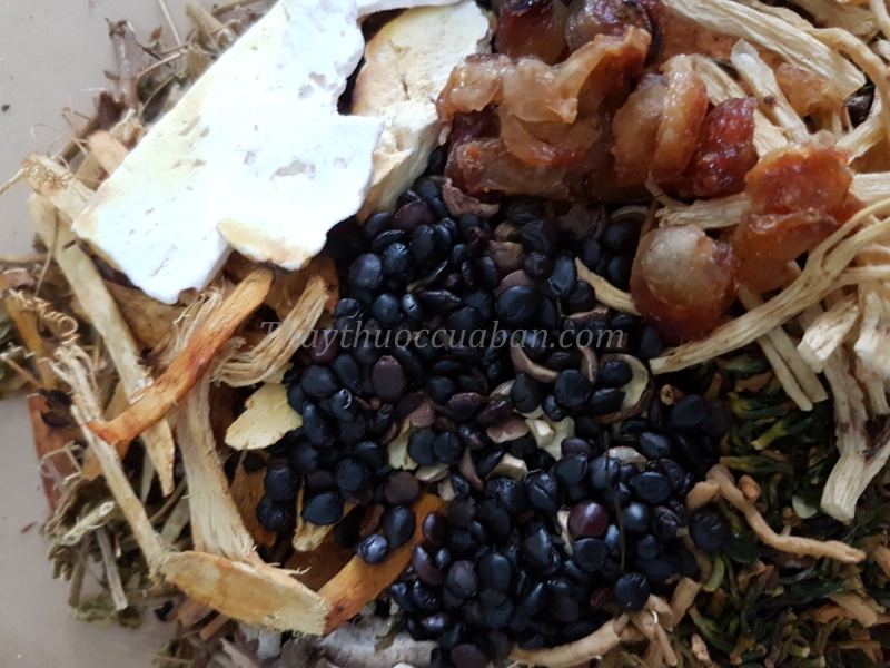 Bài thuốc hóa đàm