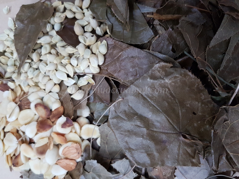 Bài thuốc chỉ huyết