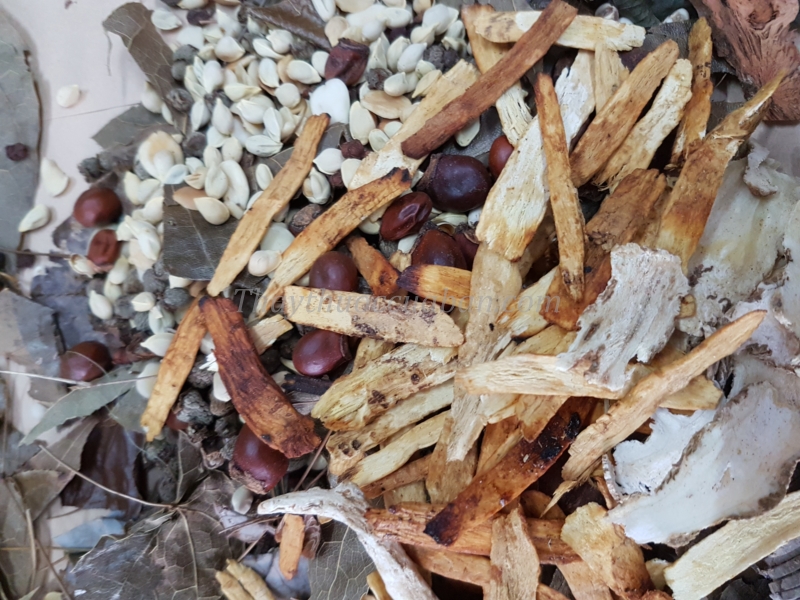 Bài thuốc chữa áp xe ngoài màng cứng