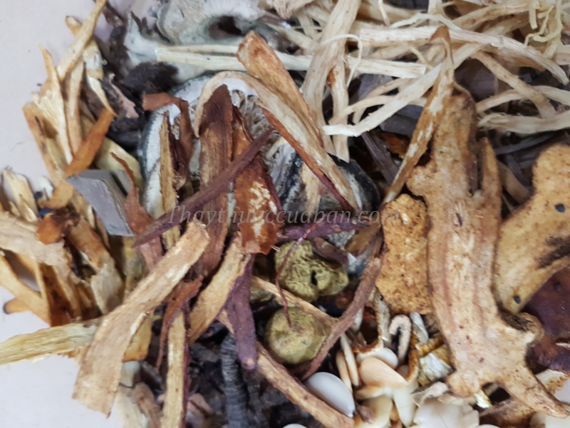 Bài thuốc đông y chữa đau thắt ngực