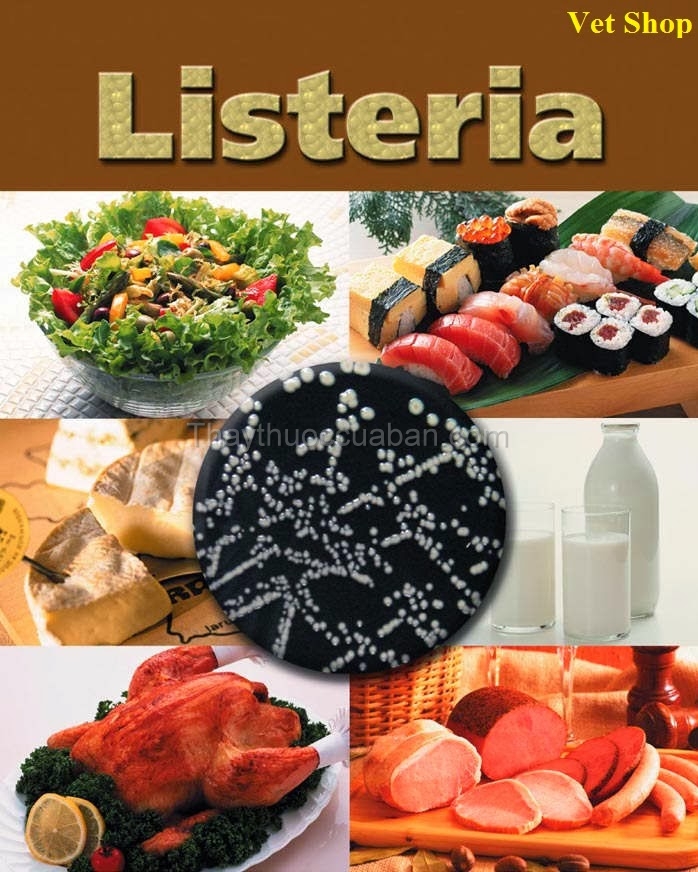 Bệnh Listeria