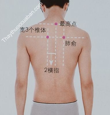 Cứu huyệt phế du giúp trường thọ