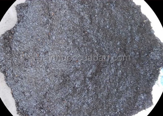 Vị thuốc sinh thiết lạc