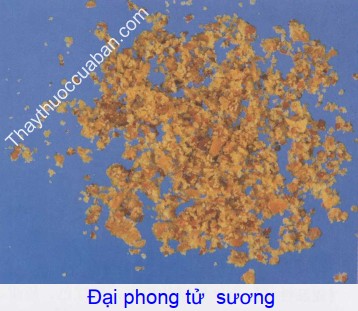 Hình ảnh vị thuốc đại phong tử sương