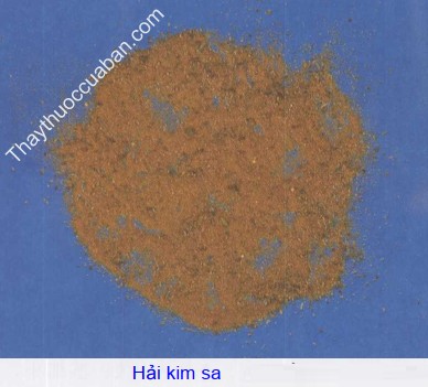 Hình ảnh vị thuốc hải kim sa