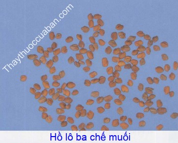 Hình ảnh hồ lô ba chế muối