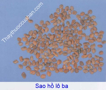 Hình ảnh hồ lô ba sao