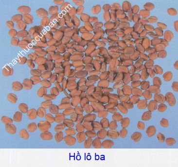 Hình ảnh hồ lô ba