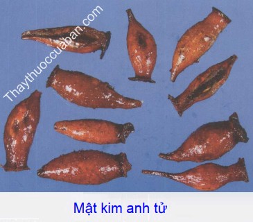 Hình ảnh mật kim anh tử