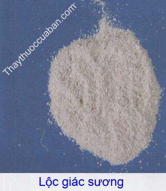 Hình ảnh lộc giác sương