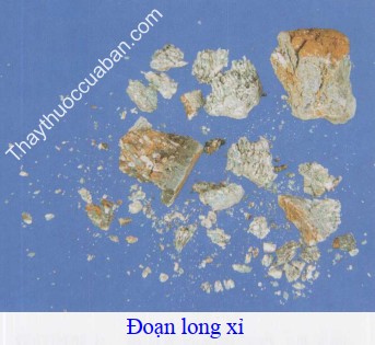 Hình ảnh đoạn long xỉ