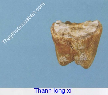 Hình ảnh thanh long xỉ
