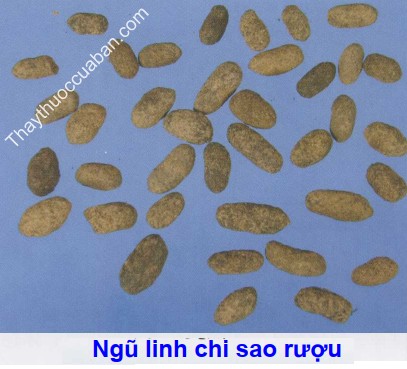 Hình ảnh ngũ linh chi sao rượu