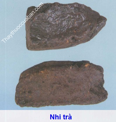 Hình ảnh vị thuốc nhi trà