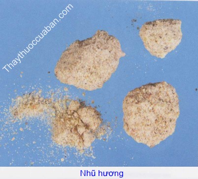 Hình ảnh vị thuốc nhũ hương