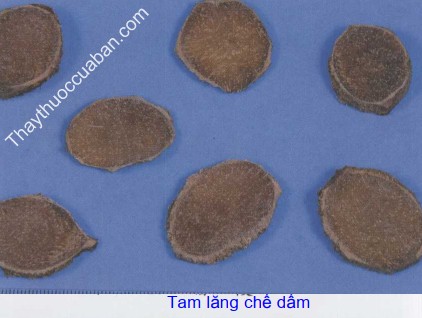 Hình ảnh vị thuốc tam lăng chế dấm