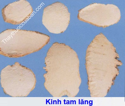 Hình ảnh vị thuốc kinh tam lăng