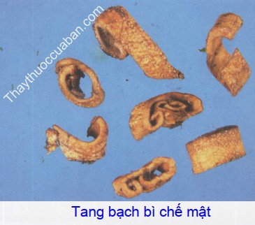 Hình ảnh vị thuốc tang bạch bì chết mật