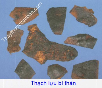 Hình ảnh thán thạch lựu bì