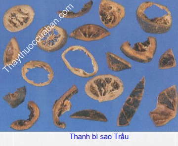 Hình ảnh thanh bì sao trấu