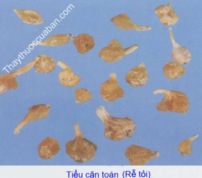 HÌnh ảnh tiểu căn toán