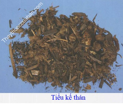 Hình ảnh tiểu kế thán