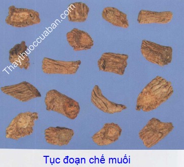 Hình ảnh vị thuốc tục đoạn chế muối
