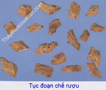 Hình ảnh vị thuốc tục đoạn chế rượu