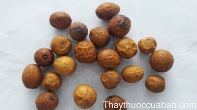 Hình ảnh vị thuốc xuyên luyện tử