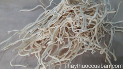 Hình ảnh vị thuốc đăng tâm