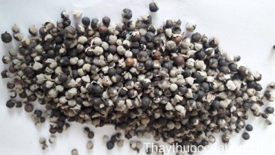 Hình ảnh vị thuốc màn kinh tử