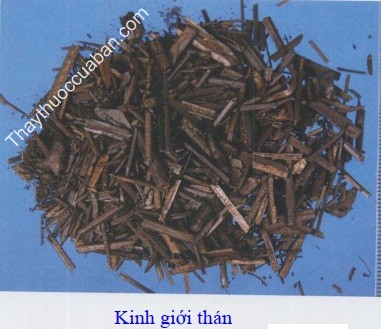 Hình ảnh kinh giới thán, kinh giới sao đen