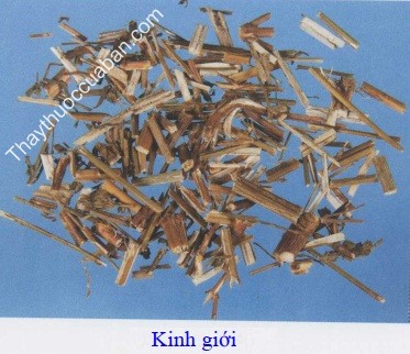 Hình ảnh vị thuốc kinh giới