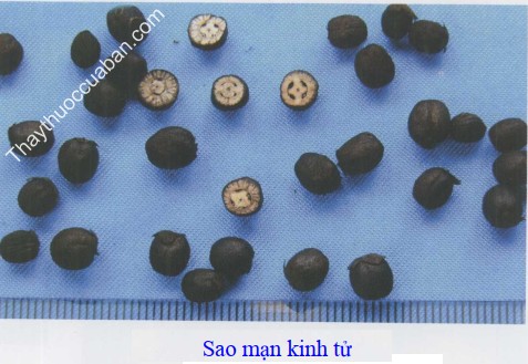 Hình ảnh vị thuốc màn kinh tử sao
