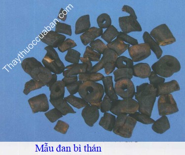 Hình ảnh mẫu đơn bì thán