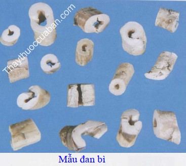 Hình ảnh vị thuốc mẫu đơn bì (mẫu đan bì)